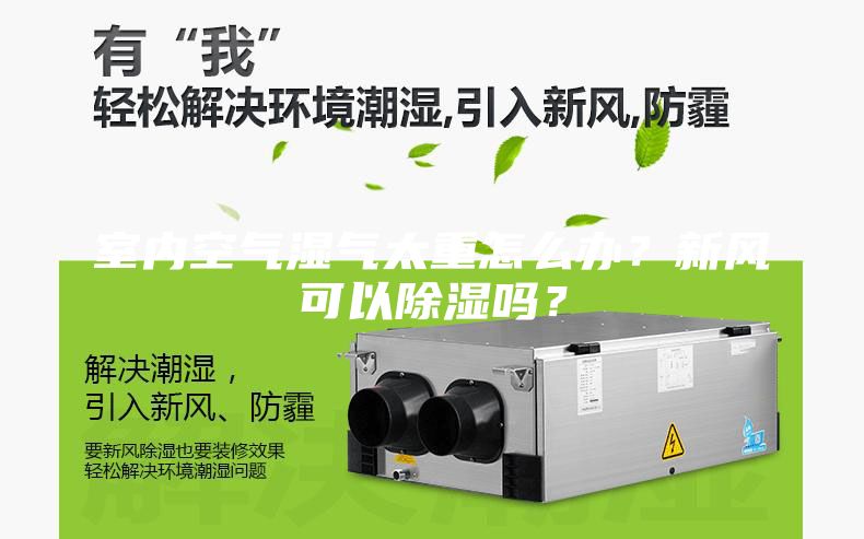 室內空氣濕氣太重怎么辦？新風可以除濕嗎？