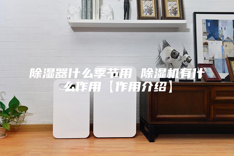 除濕器什么季節(jié)用 除濕機(jī)有什么作用【作用介紹】