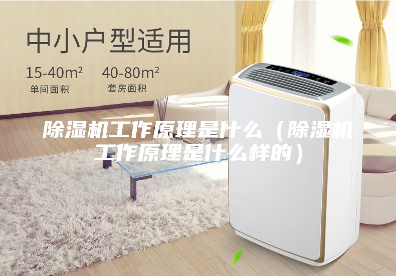 除濕機工作原理是什么（除濕機工作原理是什么樣的）