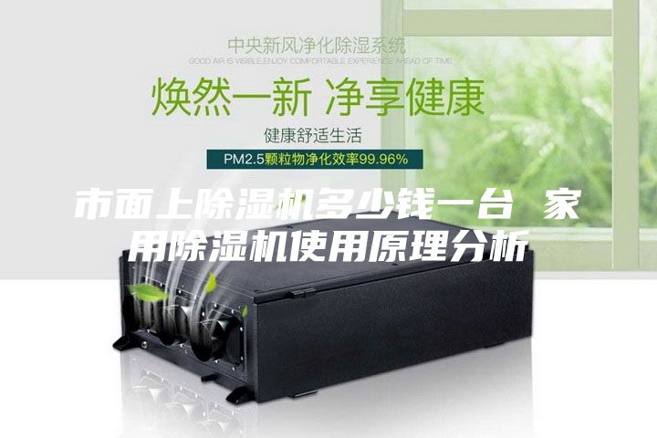 市面上除濕機多少錢一臺 家用除濕機使用原理分析