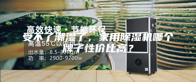 受不了潮濕了，家用除濕機(jī)哪個牌子性價比高？