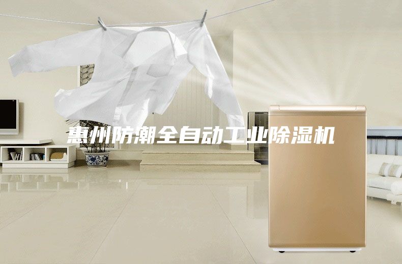 惠州防潮全自動(dòng)工業(yè)除濕機(jī)