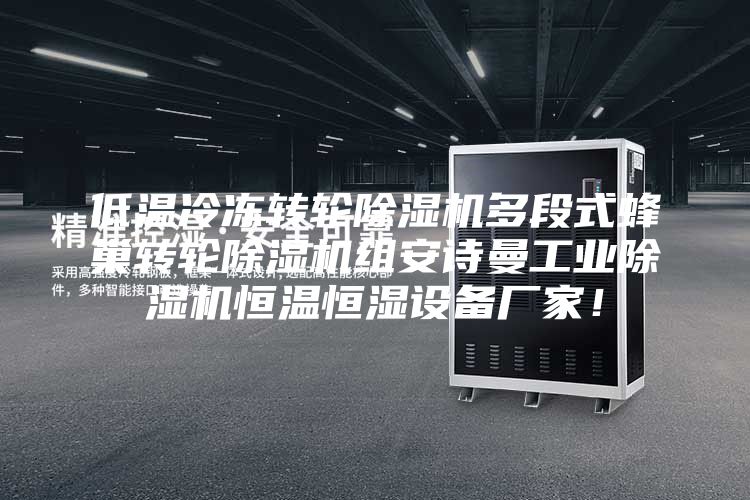 低溫冷凍轉(zhuǎn)輪除濕機(jī)多段式蜂巢轉(zhuǎn)輪除濕機(jī)組安詩(shī)曼工業(yè)除濕機(jī)恒溫恒濕設(shè)備廠家！