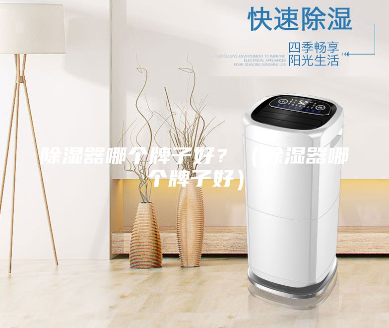 除濕器哪個(gè)牌子好？（除濕器哪個(gè)牌子好）