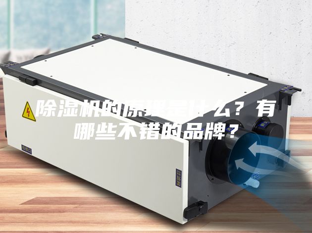 除濕機的原理是什么？有哪些不錯的品牌？
