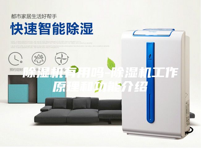 除濕機有用嗎-除濕機工作原理和功能介紹