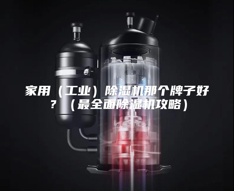 家用（工業(yè)）除濕機(jī)那個(gè)牌子好？（最全面除濕機(jī)攻略）