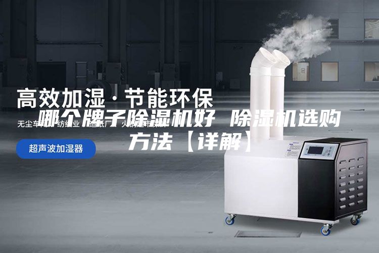 哪個(gè)牌子除濕機(jī)好 除濕機(jī)選購方法【詳解】