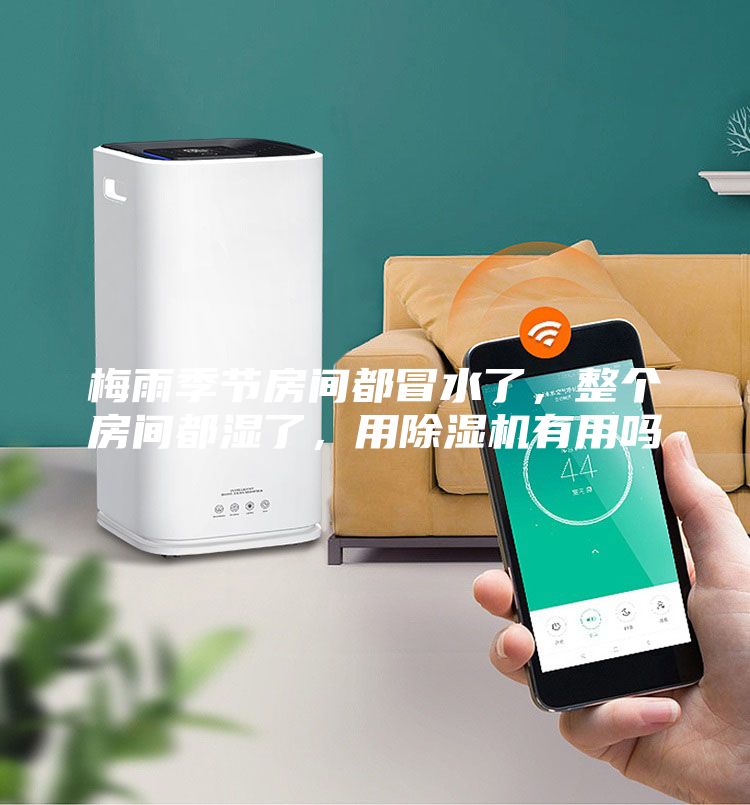 梅雨季節房間都冒水了，整個房間都濕了，用除濕機有用嗎