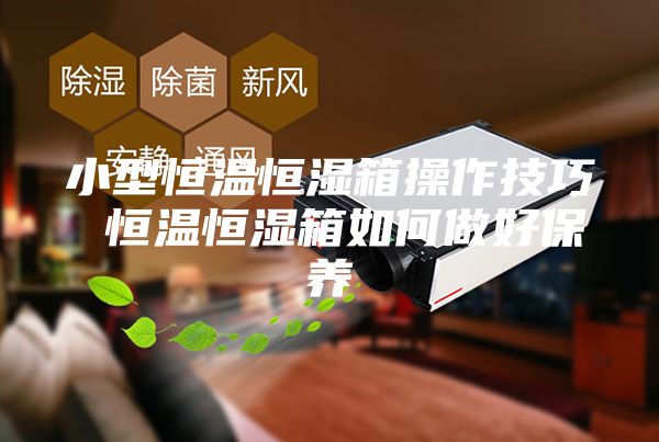 小型恒溫恒濕箱操作技巧 恒溫恒濕箱如何做好保養