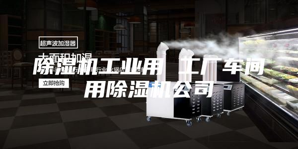 除濕機工業用 工廠車間用除濕機公司