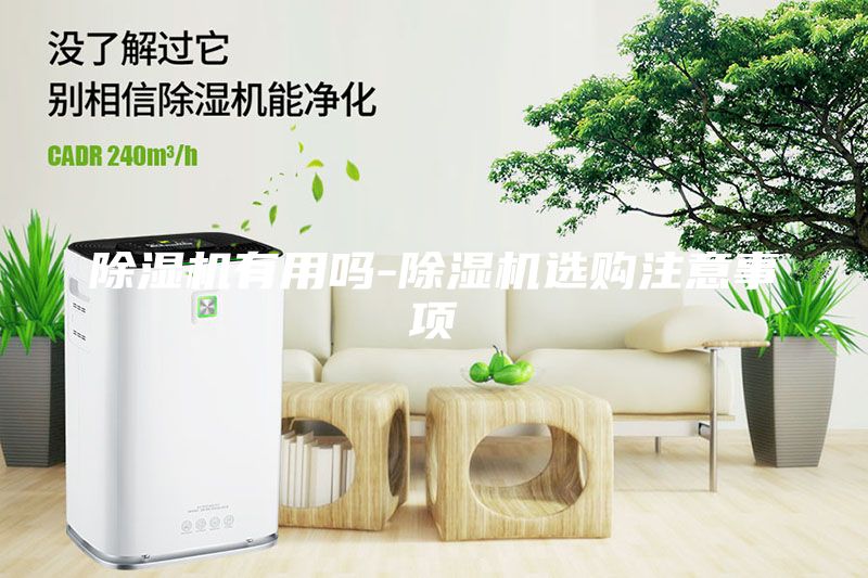 除濕機有用嗎-除濕機選購注意事項