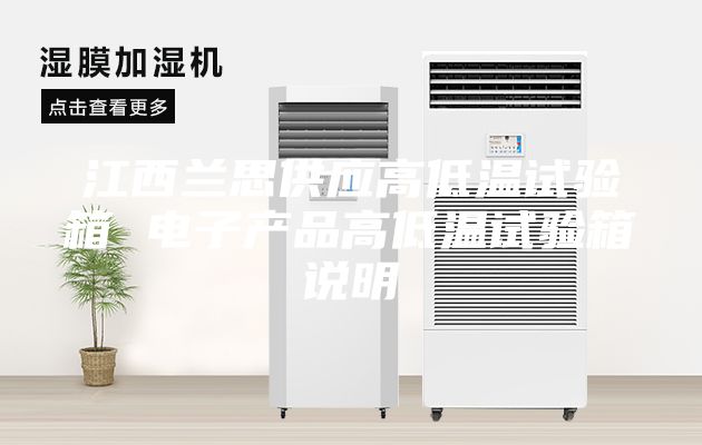 江西蘭思供應(yīng)高低溫試驗(yàn)箱 電子產(chǎn)品高低溫試驗(yàn)箱說明