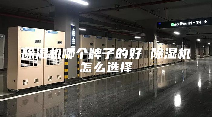 除濕機(jī)哪個牌子的好 除濕機(jī)怎么選擇
