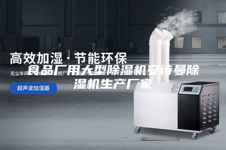 食品廠用大型除濕機安詩曼除濕機生產廠家