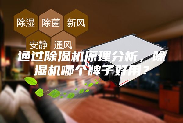 通過除濕機原理分析，除濕機哪個牌子好用？