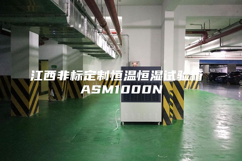 江西非標定制恒溫恒濕試驗箱 ASM1000N