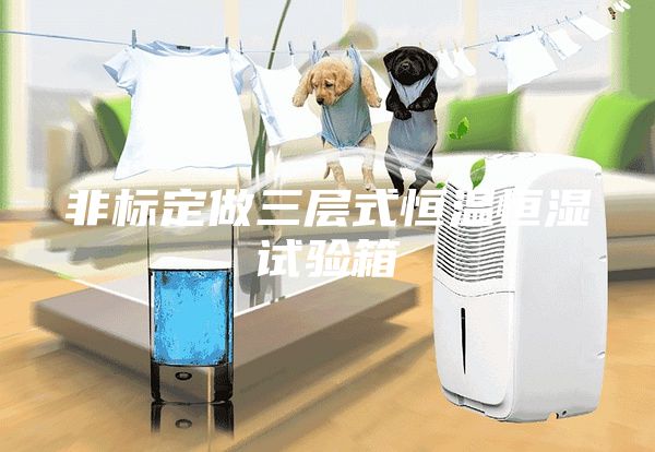 非標定做三層式恒溫恒濕試驗箱