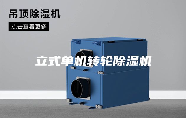 立式單機(jī)轉(zhuǎn)輪除濕機(jī)