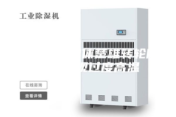如何避免單體楚雄轉輪除濕機出現過度高溫