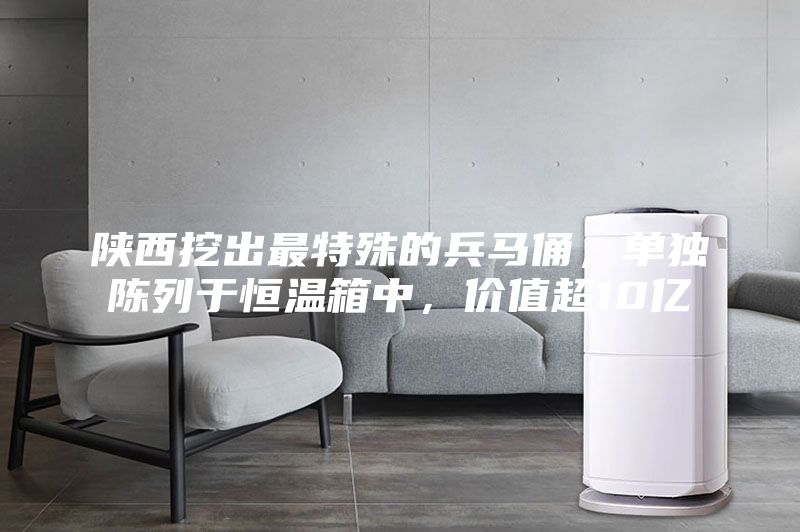陜西挖出最特殊的兵馬俑，單獨陳列于恒溫箱中，價值超10億
