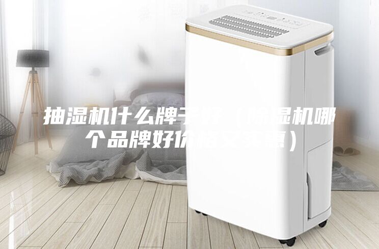 抽濕機什么牌子好（除濕機哪個品牌好價格又實惠）