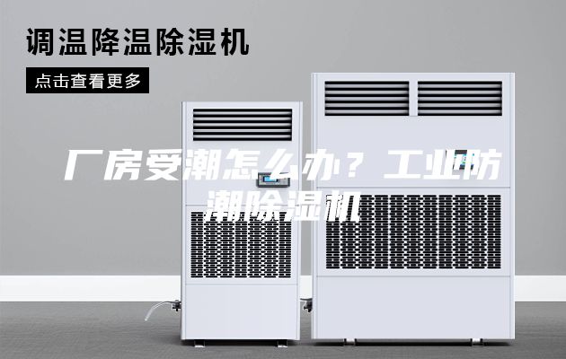 廠房受潮怎么辦？工業防潮除濕機