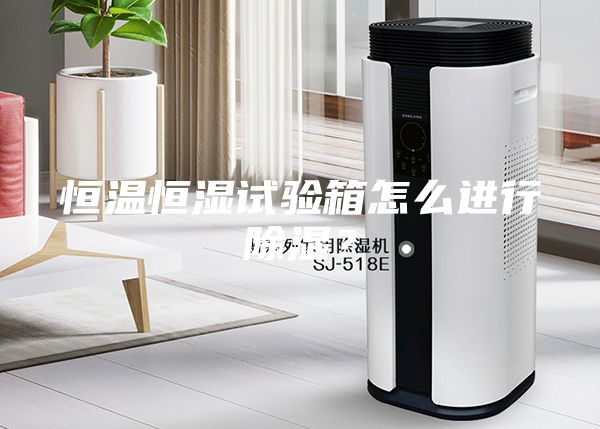 恒溫恒濕試驗箱怎么進行除濕？