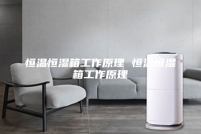 恒溫恒濕箱工作原理 恒溫恒濕箱工作原理