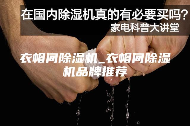 衣帽間除濕機_衣帽間除濕機品牌推薦