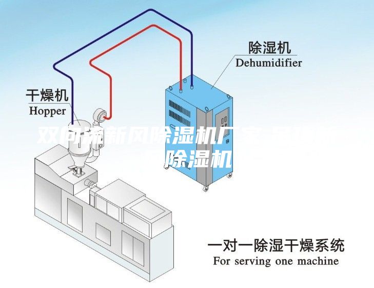 雙向流新風除濕機廠家,吊頂新風除濕機