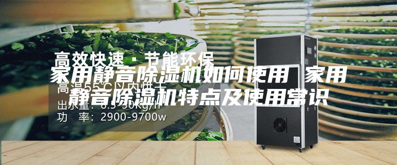 家用靜音除濕機(jī)如何使用 家用靜音除濕機(jī)特點(diǎn)及使用常識