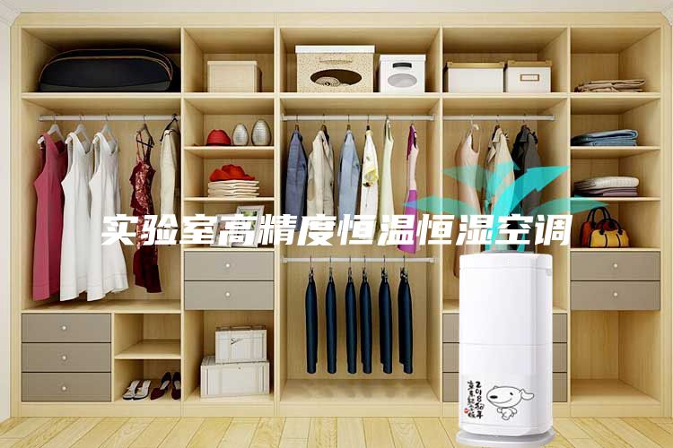 實驗室高精度恒溫恒濕空調