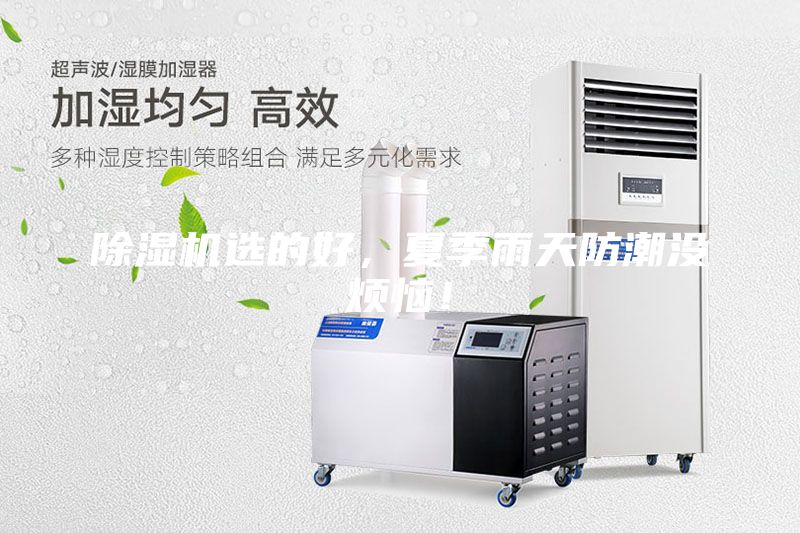 除濕機選的好，夏季雨天防潮沒煩惱！