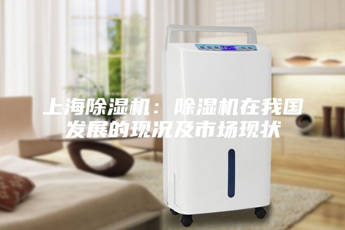 上海除濕機：除濕機在我國發(fā)展的現況及市場現狀
