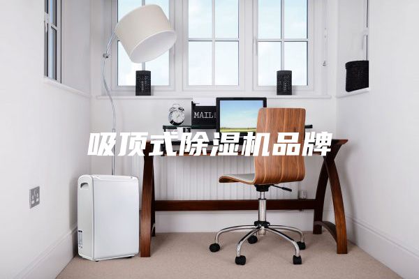 吸頂式除濕機品牌