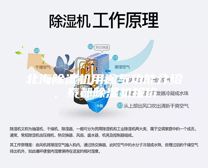 北海除濕機用途與功能介紹，泰都除濕機報價
