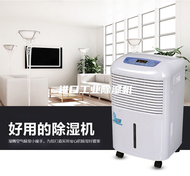 進口工業除濕機