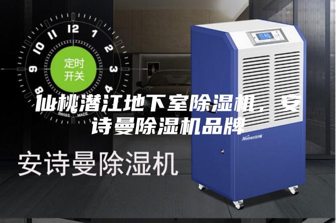 仙桃潛江地下室除濕機(jī)，安詩(shī)曼除濕機(jī)品牌