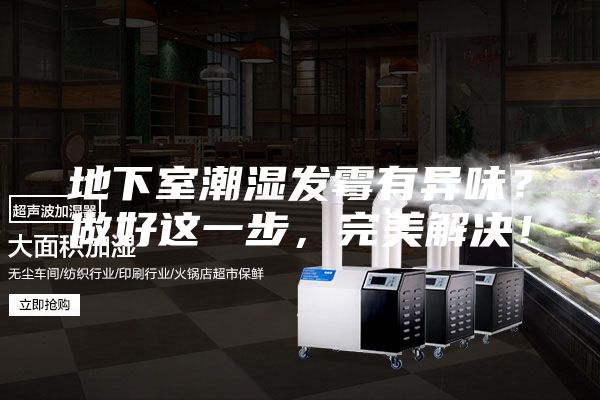 地下室潮濕發霉有異味？做好這一步，完美解決！