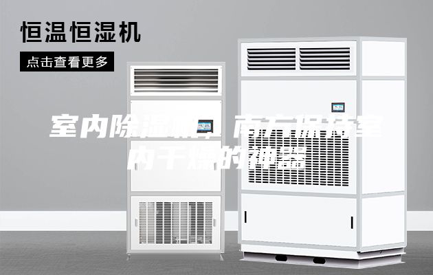 室內除濕機，南方保持室內干燥的神器