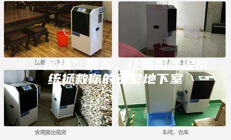 “蒸熱”夏天，讓新風除濕系統拯救你的別墅地下室