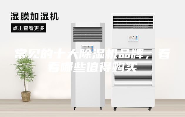 常見的十大除濕機(jī)品牌，看看哪些值得購買