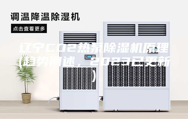 遼寧CO2熱泵除濕機原理(趨勢闡述，2023已更新)