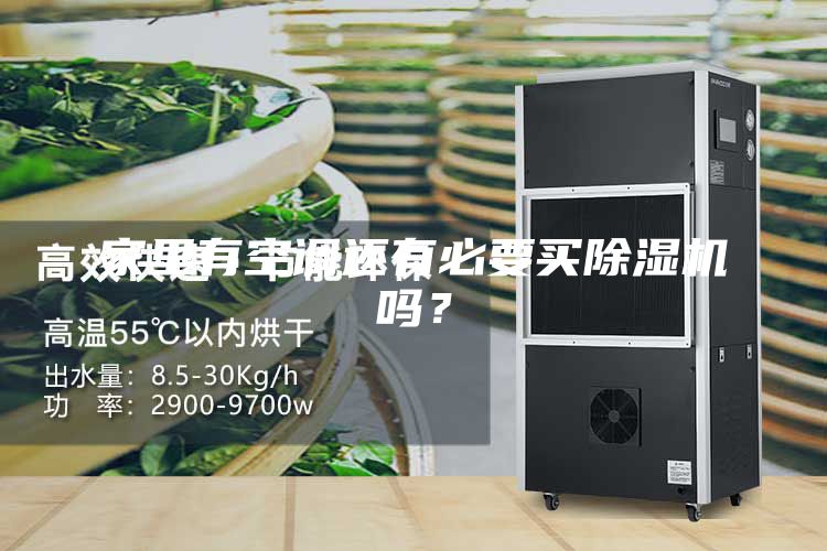 家里有空調(diào)還有必要買除濕機嗎？