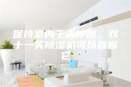 保持室內干爽神器，雙十一買除濕機可以看看它
