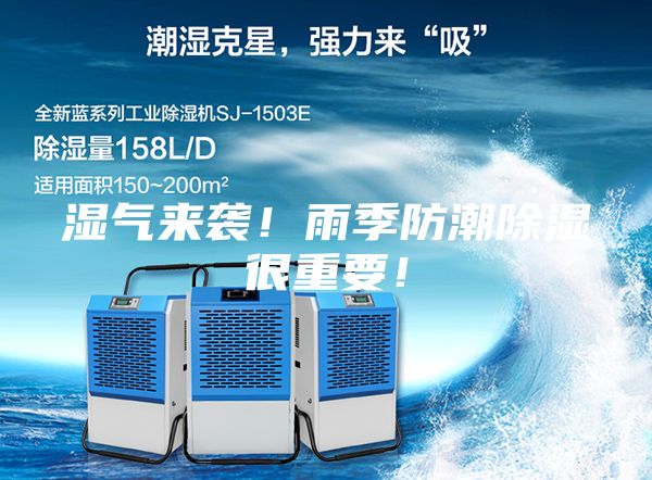 濕氣來襲！雨季防潮除濕很重要！