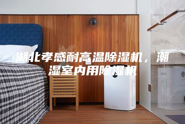 湖北孝感耐高溫除濕機，潮濕室內用除濕機