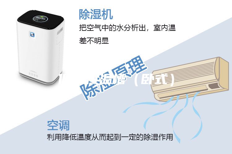 低溫恒溫槽（臥式）