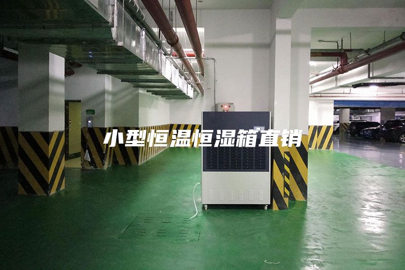 小型恒溫恒濕箱直銷